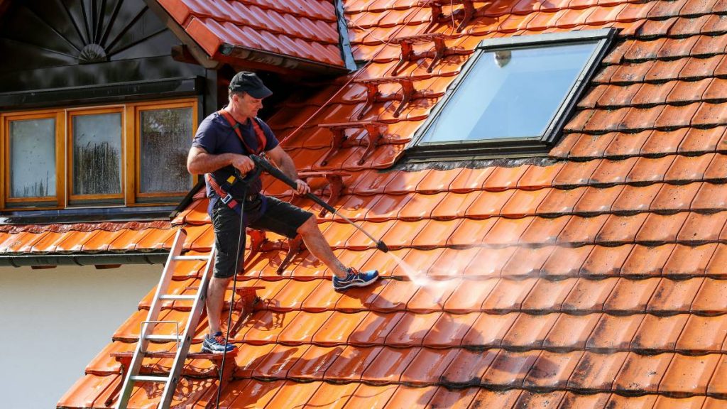 Professional Roof Cleaning Service