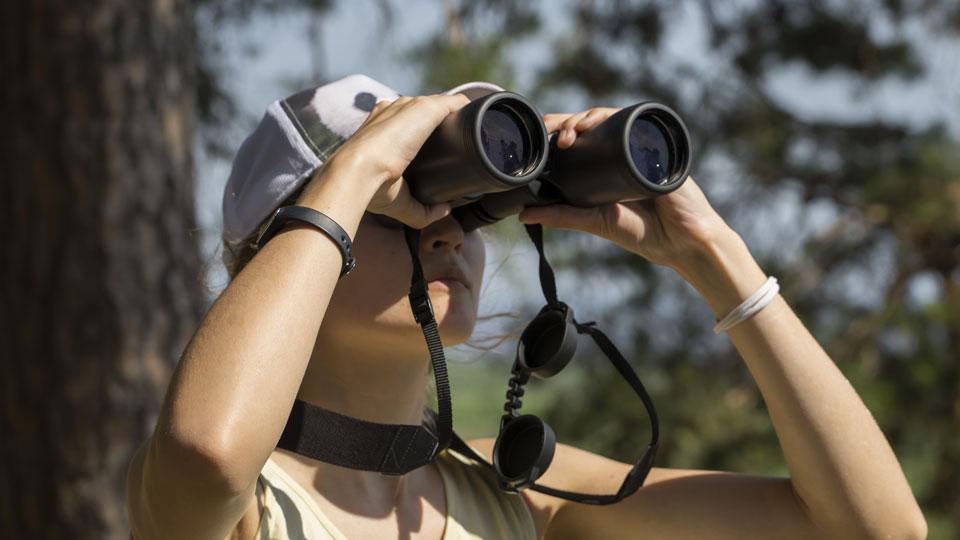 premium rangefinder binocular models
